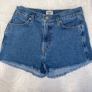 Aritzia Sunday Best Shorts